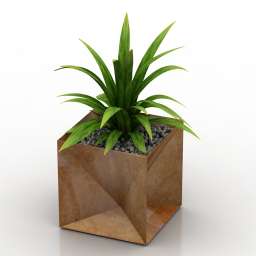  植物折纸壶