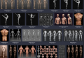 美术绘画 艺用三维3D人体雕塑解剖 肌肉骨骼结构 参考资料图片