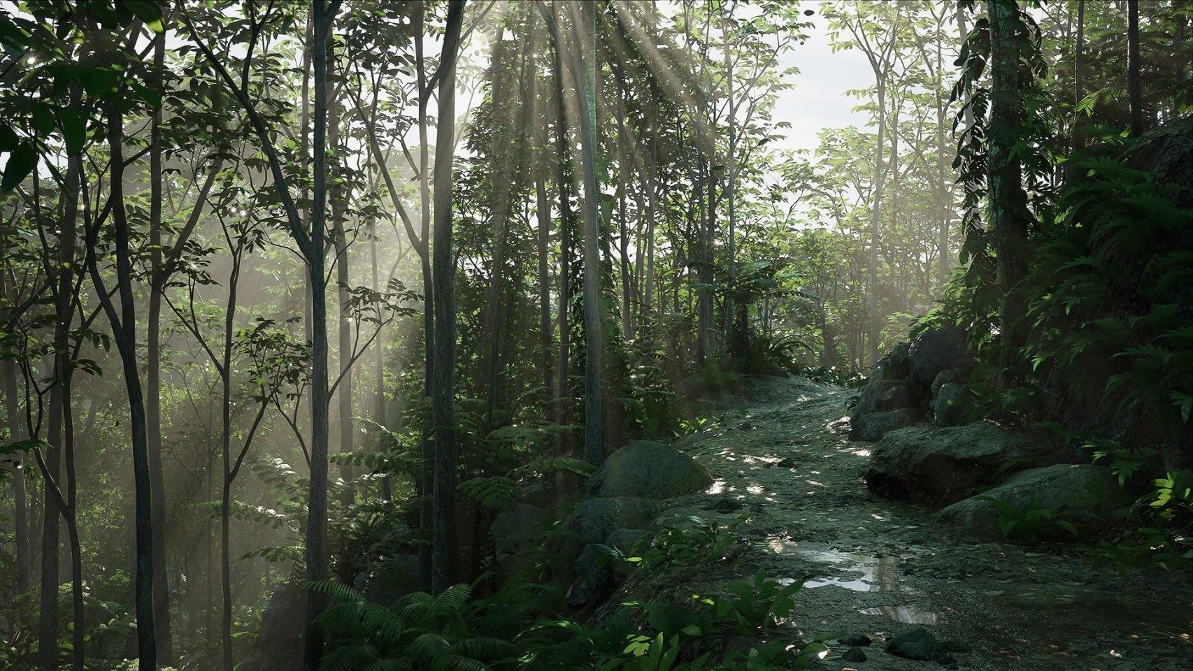 Rain Forest Pack-虚幻引擎热带雨林资源包 虚幻引擎 资源包 树木 热带雨林 第6张
