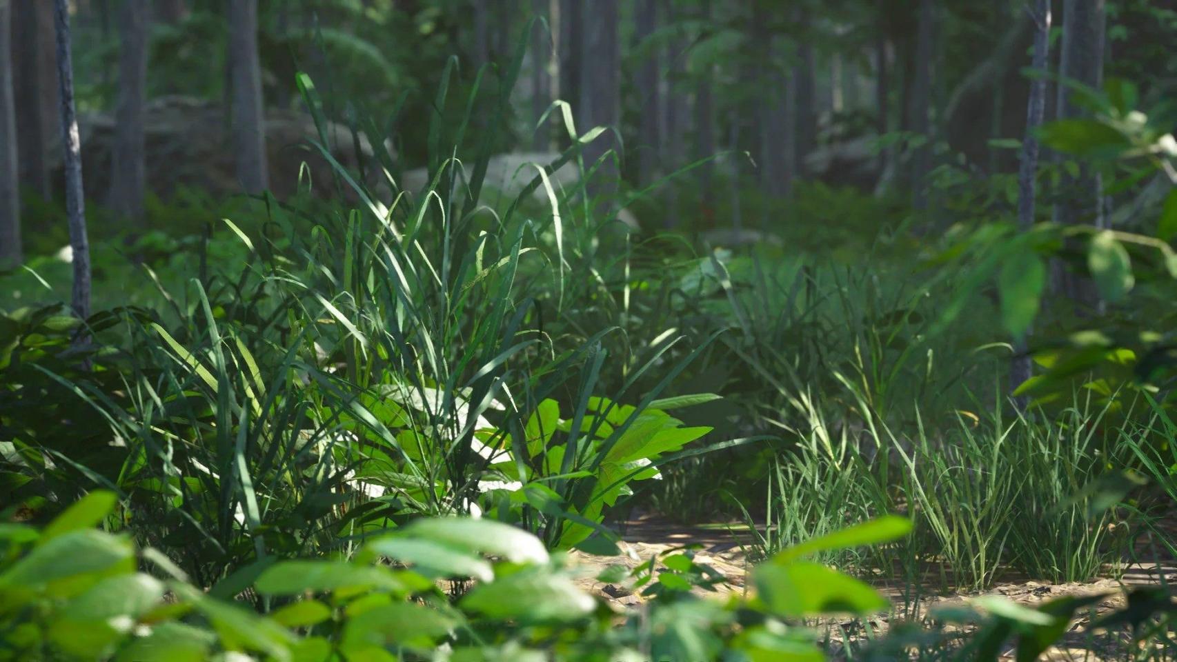 Rain Forest Pack-虚幻引擎热带雨林资源包 虚幻引擎 资源包 树木 热带雨林 第8张