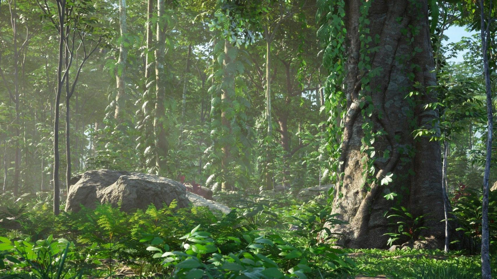 Rain Forest Pack-虚幻引擎热带雨林资源包 虚幻引擎 资源包 树木 热带雨林 第10张