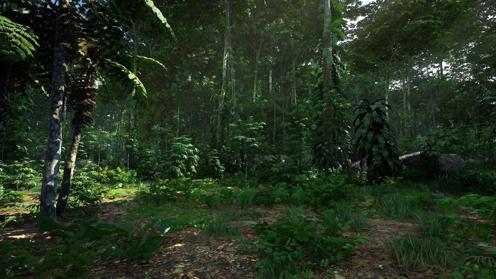 Rain Forest Pack-虚幻引擎热带雨林资源包 虚幻引擎 资源包 树木 热带雨林 第13张
