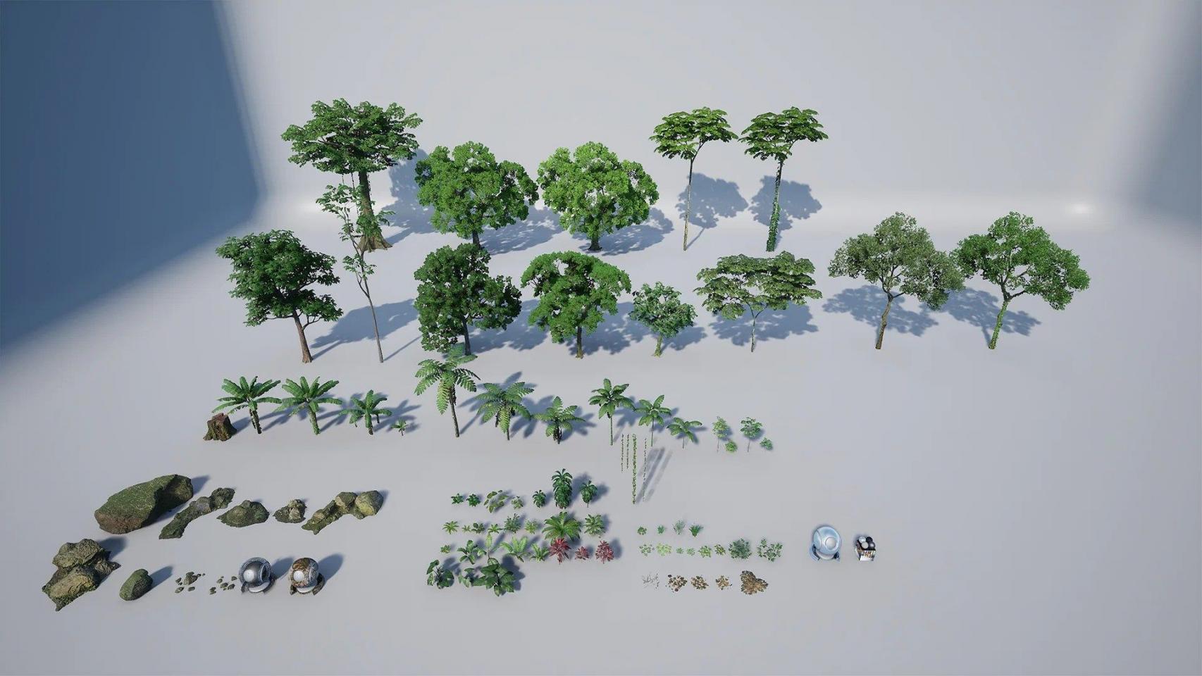 Rain Forest Pack-虚幻引擎热带雨林资源包 虚幻引擎 资源包 树木 热带雨林 第16张